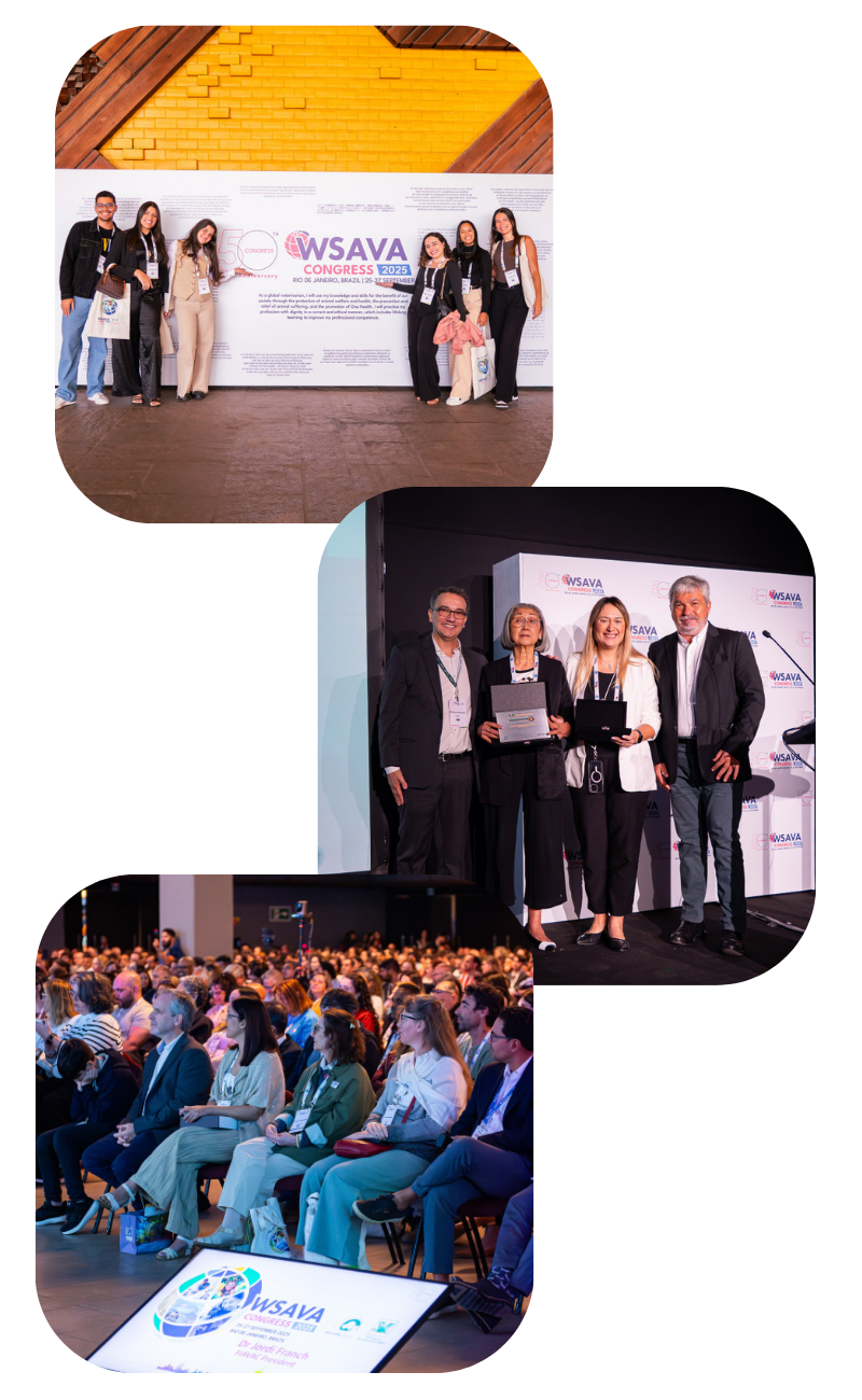 MarCom Article Profile Pictures (1)