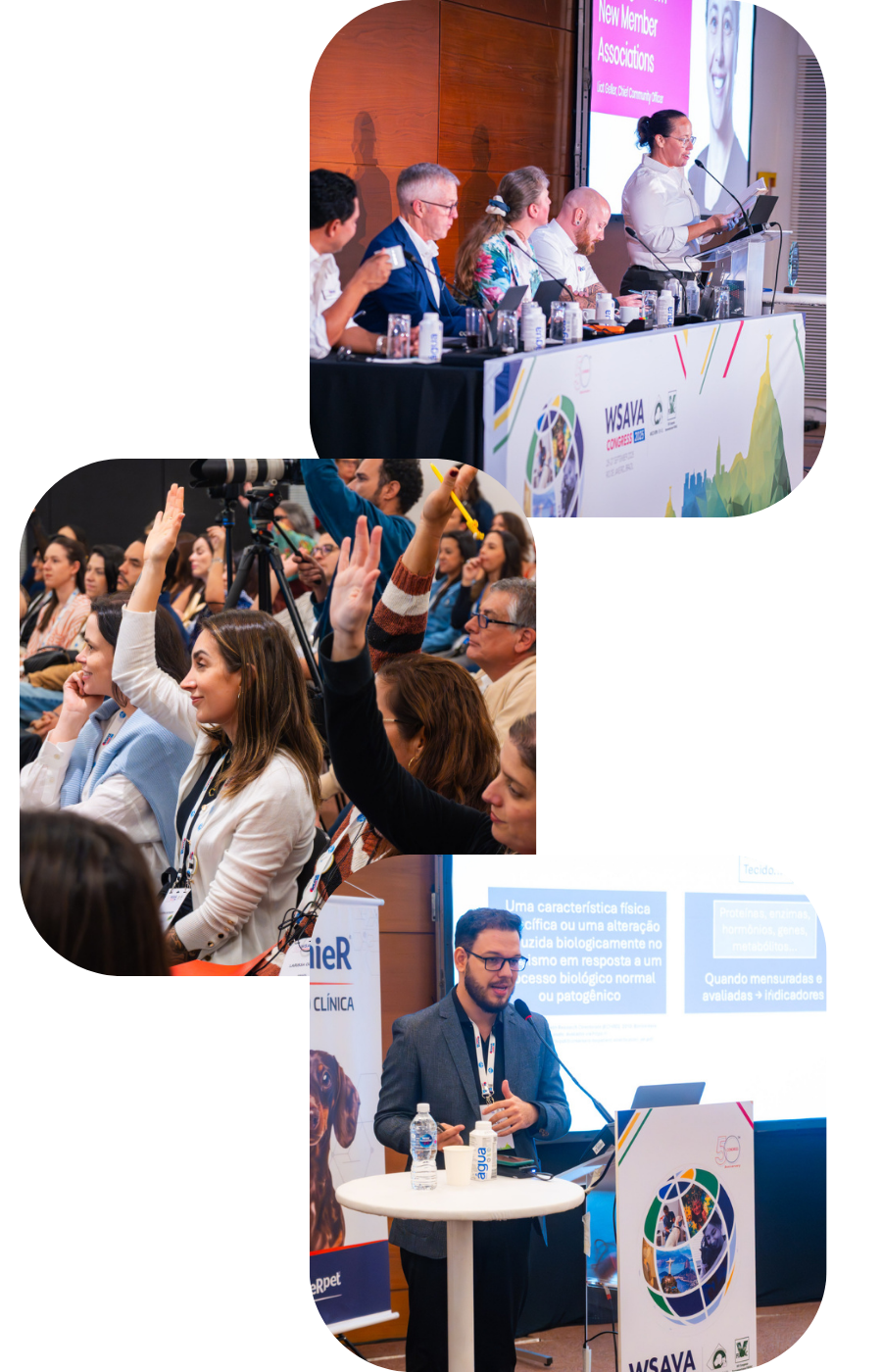 MarCom Article Profile Pictures (11)