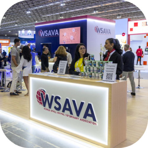 MarCom Article Profile Pictures (2) MarCom Article Profile Pictures (2)