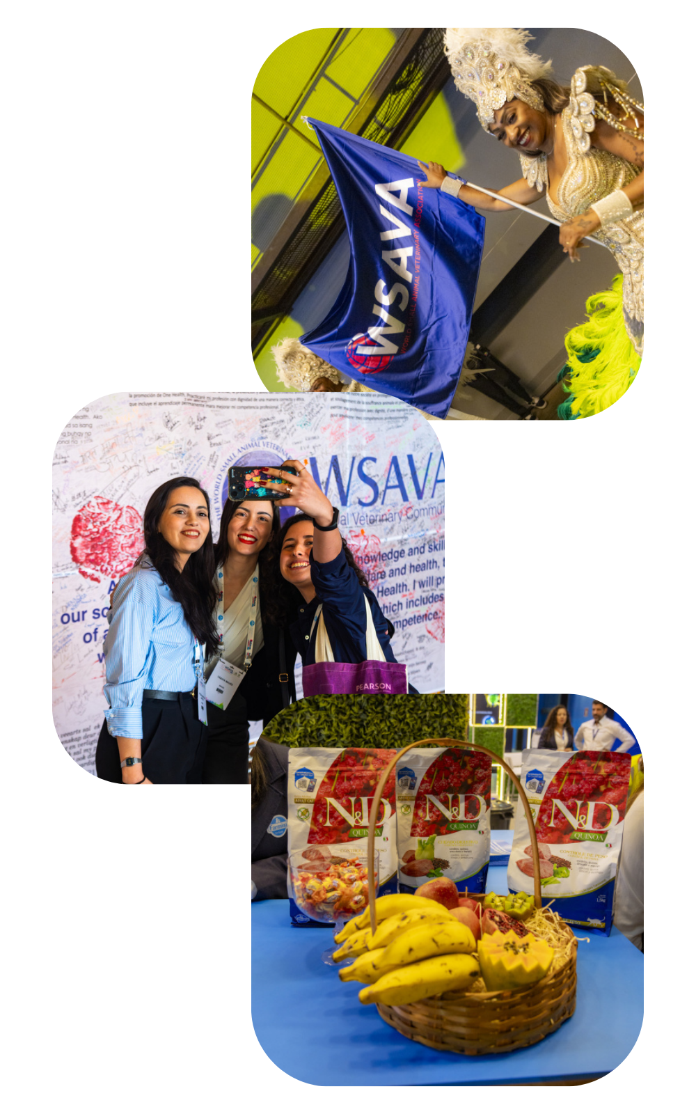 MarCom Article Profile Pictures (9)